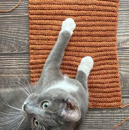 Crochet beanie construction step